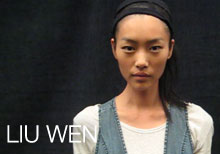Liu Wen